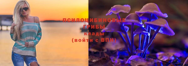 ешки Дедовск