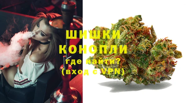 прущие грибы Данков