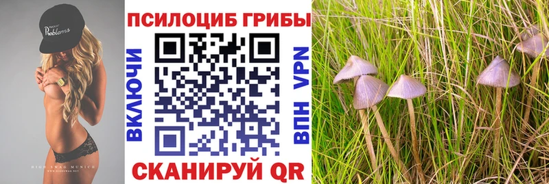 Галлюциногенные грибы Magic Shrooms купить наркоту Пыталово