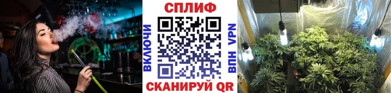 где продают наркотики Пыталово Бошки Шишки ГИДРОПОН
